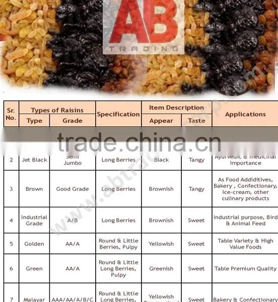 Black Raisins Good Quality /Dried Raisins From India / Best Quality photo-6