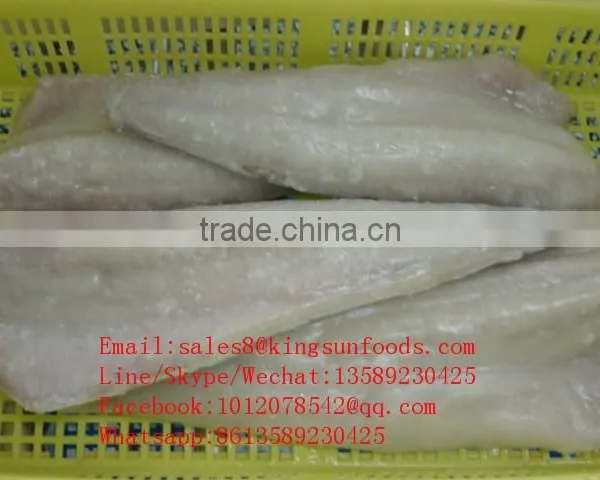 Cheap Wholesale Light Salted Seafood Saithe Fillet on Hot Sale for Market photo-5