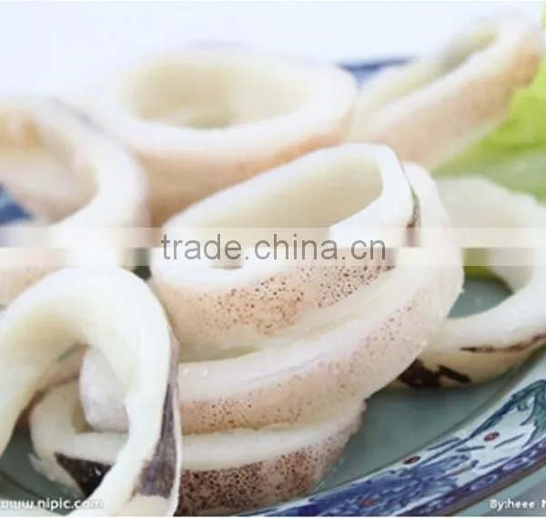 FGB-118 Auomatic Squid Ring Cutting Machine, Squid Rings Slicing Machine, Squid Cutter photo-3