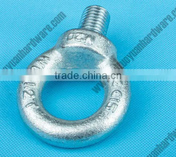 China Rigging Hardware Factory Galvanized Bolt and Nut photo-2