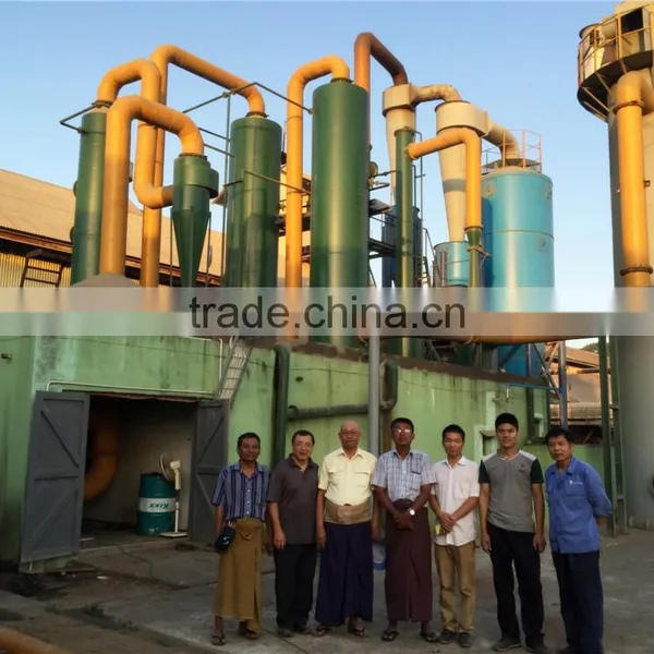 Small Biomass Gasifier to Output Power , Charcoal Waste to Energy Equipment ,Msw Gasification Power Plant photo-2