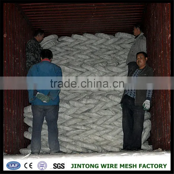 Iron Wire Mesh Material Raozor Wire Prison Fence / Razor Wire Cbt-60 photo-3