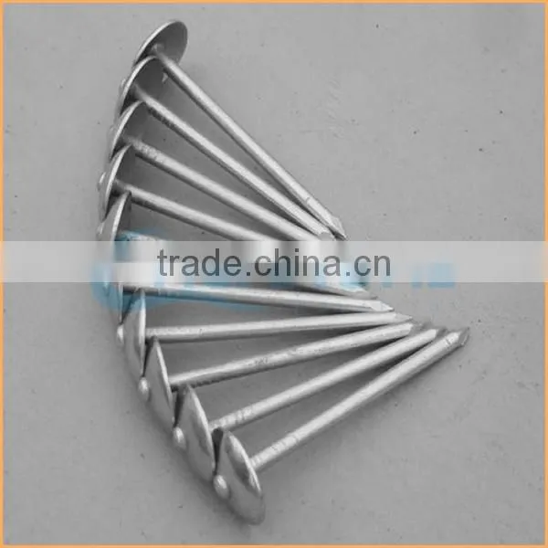Top Quality Competitive Zinc Roofing Nail With Umbrella Head From Trusted Chuanghe Suppliers photo-3