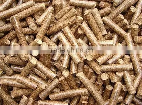 High Quality 1000kg per Hour Factory Outlet Wood Pellet Machine Pellet Mill photo-6