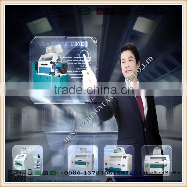 Hot Sell Best Price Mini Flour Mill photo-6