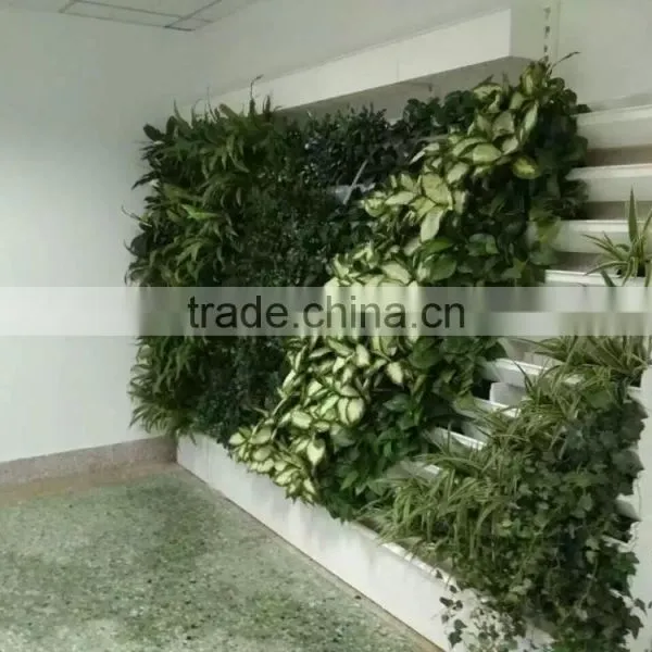 Green Wall System Vertical Hanging Garden Grass Wall With Planter and ECO Green Wall photo-4
