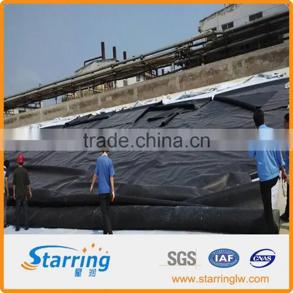 Chinese Top HDPE Geomembrane for Dam Lining photo-5