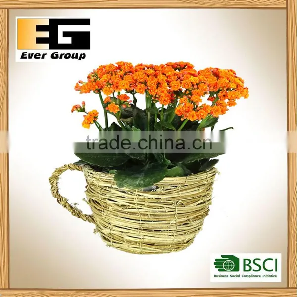 Cheap Natural Rattan Teapot for Sale/Garden Planter photo-6