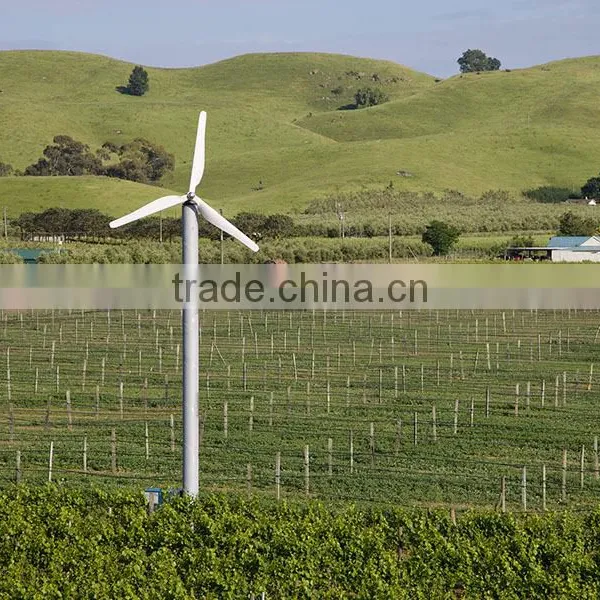 Orchard Fan photo-3