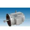 Ⅳ.YLZC Series Electric Machine for Cooling Tower