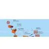 Stone Production Line,stone Crushers