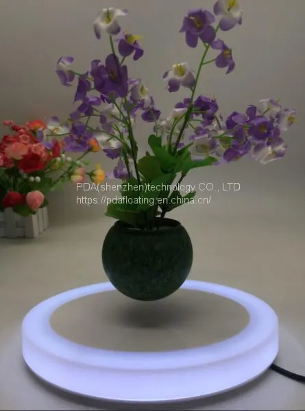 Color Led Light Maglev Floating Levitate Bottom Air Bonsai Tree Pot photo-2