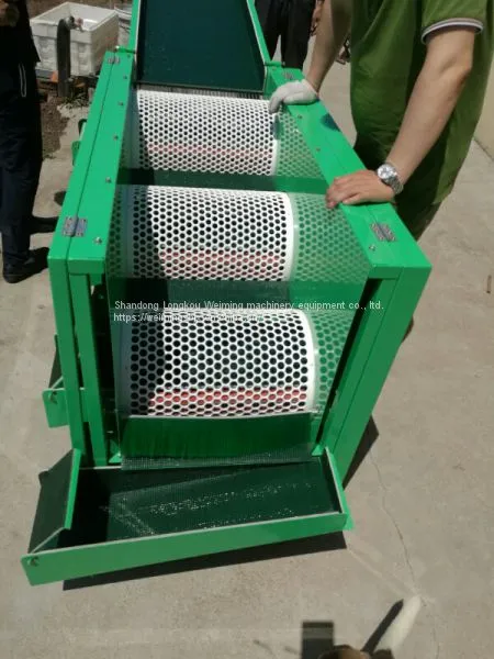 Blueberry sorting machine