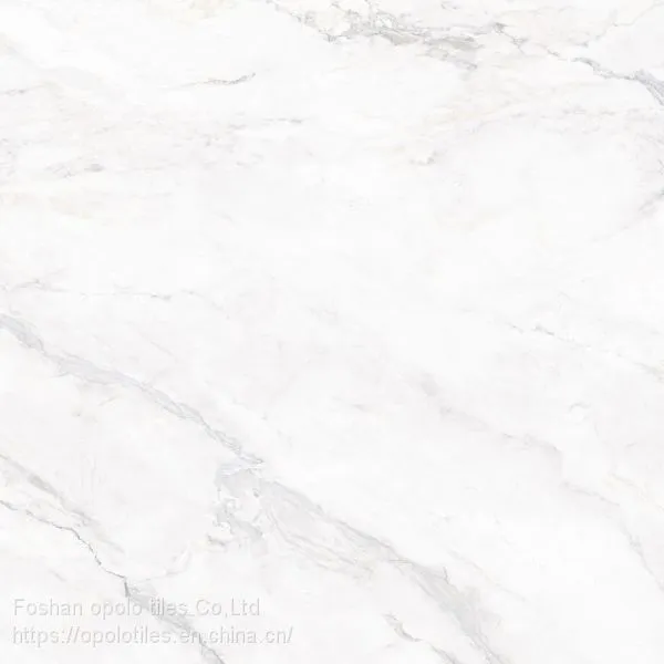 Fullbody Tiles / Glazed Tiles 800X800 photo-3