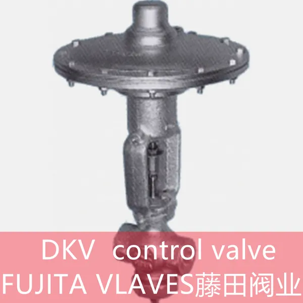 DKV FUJITA VLAVES photo-2