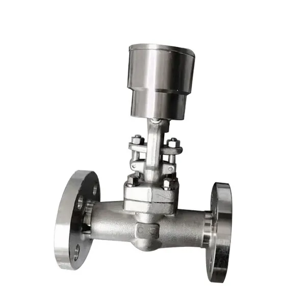 Manufacturer Direct Sales of High-quality Lockable Stainless Steel Flanged Globe Valve photo-2