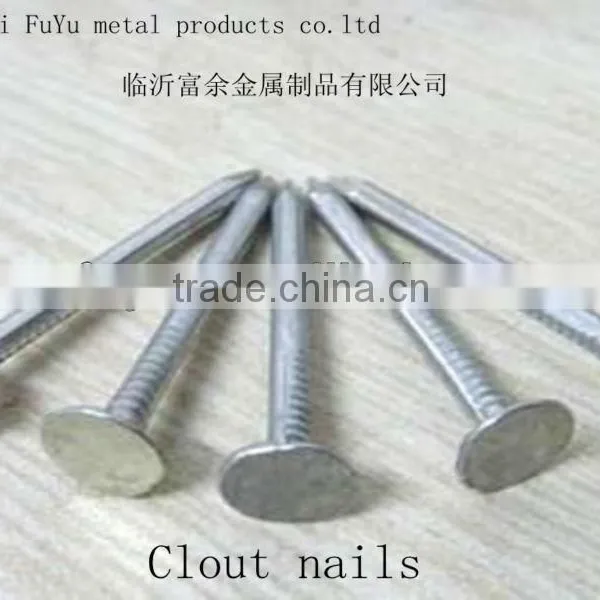 Galvanized Coated Broad Head Nails photo-5