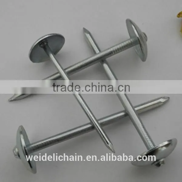 Factory Competitive Price Umbrella Head Roofing Nails photo-2