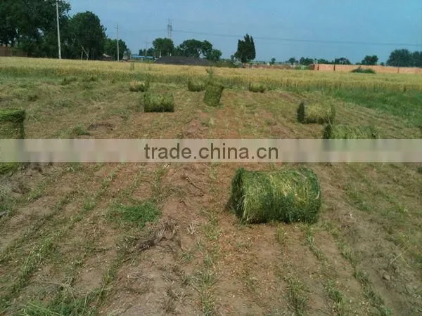 Mini Grass Round Baler photo-3
