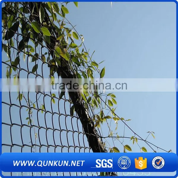 Galvanized Steel Woven Chain Link Fence / Chain Link Fence Rolls photo-2