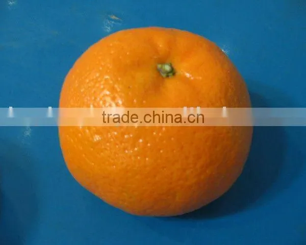 Mandarin Oranges