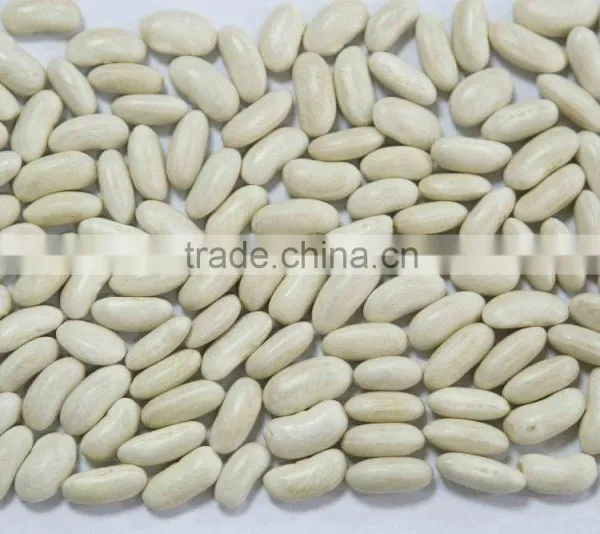 We Are Supply Kidney Beans, Medium White Kidney Beans With Competitive Price Quality Choice photo-3