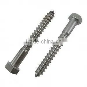 18/8 Stainless Steel Lag Bolts (Screws)