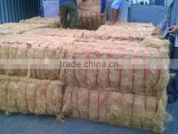 Coconut Fiber High Quality (qq : 2598494113) photo-3