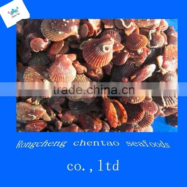 Local Products Frozen Boiled Mussel Meat Seafood