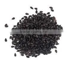 OIL SEEDS