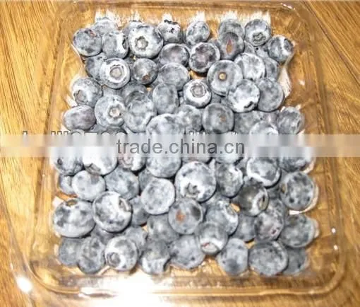 Frozen Blueberry Fruit--iqf Blueberries Wild Fresh Blueberries Wholesale photo-4