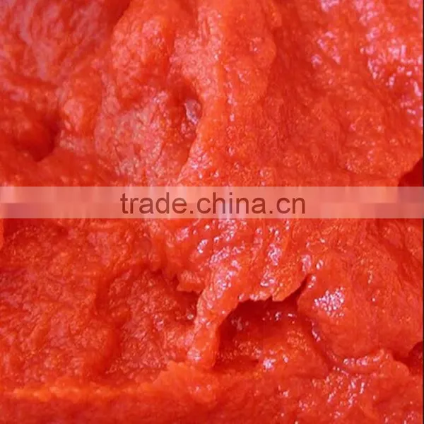 Tomato Ketchup Tomato Ketchup Plant Wholesale photo-5