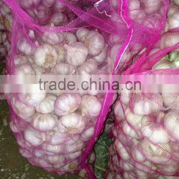 2015 New Crop Chinese Fresh White Garlic photo-2
