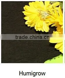 Growth Promoter Feed Additive Poultry Medicine