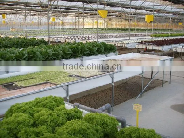 Nft Hydroponics photo-3