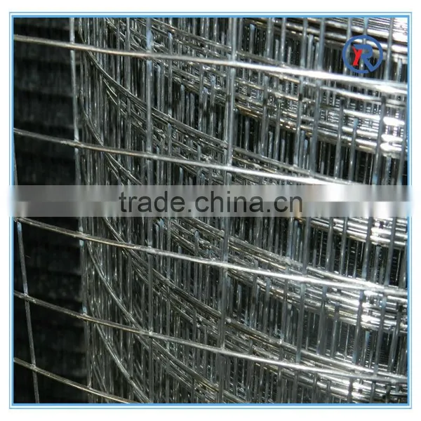 Low Price 1/2 ,1/4 Inch Hot Dipped Galvanized Welded Wire Mesh Made in China photo-3