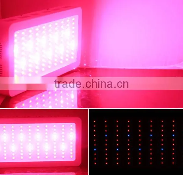 High Quality China Made 300W LED Grow Light photo-2