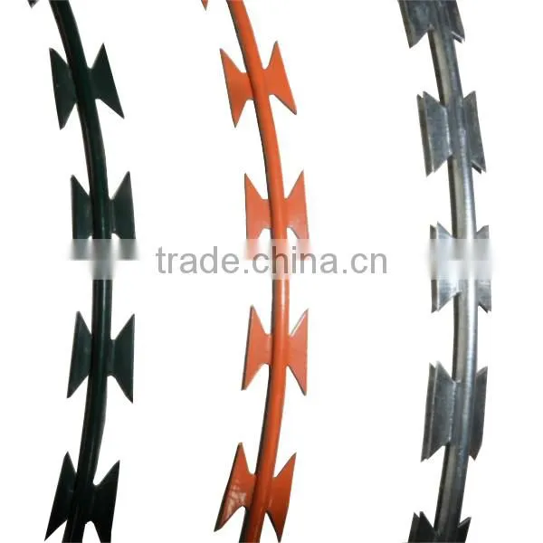 Концертинная рязаная колючая проволока Bto30 Cbt60 photo-2