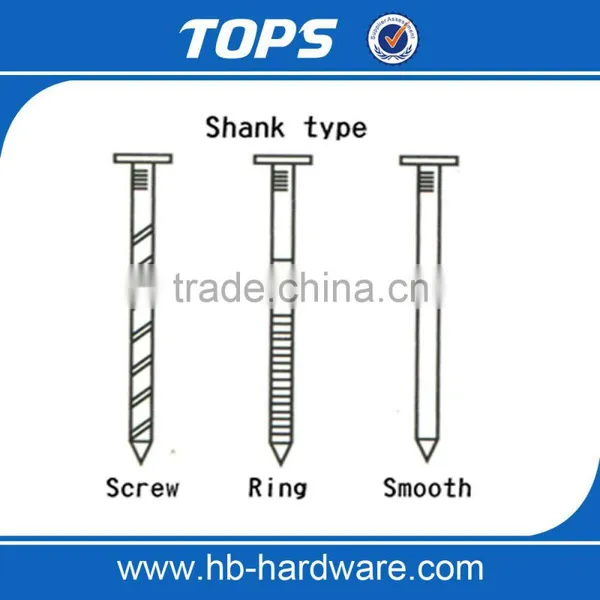 Really Manufacture Wire Coil Roofing Nails Screw Shank Blunt photo-6