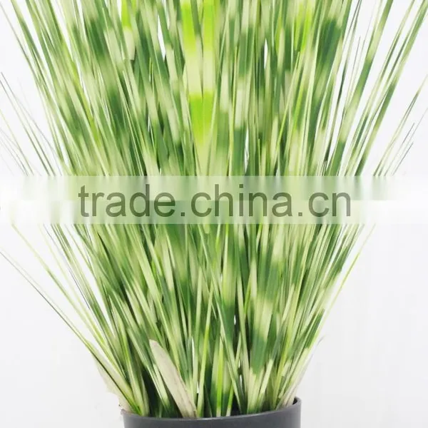 Wholesale Artificial Plants Zebra Onion Grass in Pot photo-4