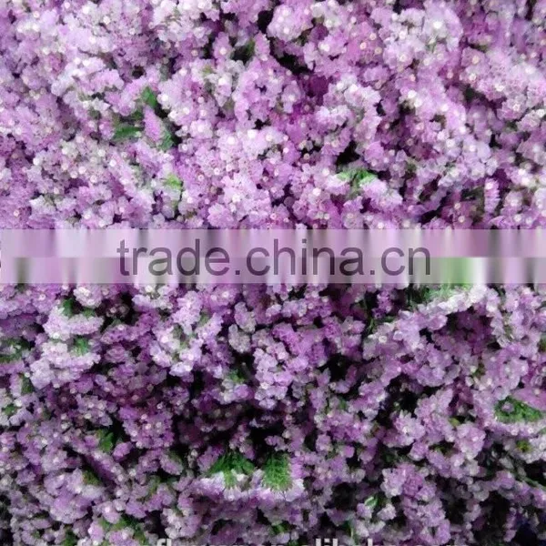 Export Statice Pink Flowers For The Valentine's Day photo-2