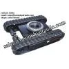 Rubber Track Undercarriage for Custom Built photo-2
