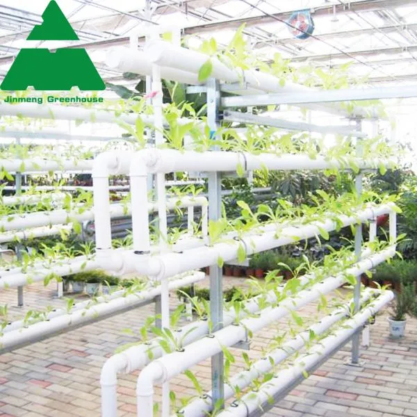Hydroponic Agriculture PC Sheet Covering Greenhouse photo-2