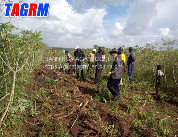 Farm Equipment Tapioca Roots Uprooting Harvesting Machines / Tapioca Harvester South America photo-5