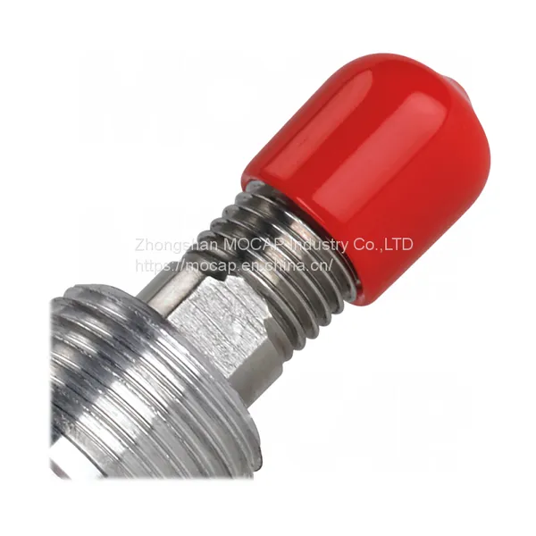 Customized Plastic Vinyl PVC Pipe End Cap With Hole and Print photo-4