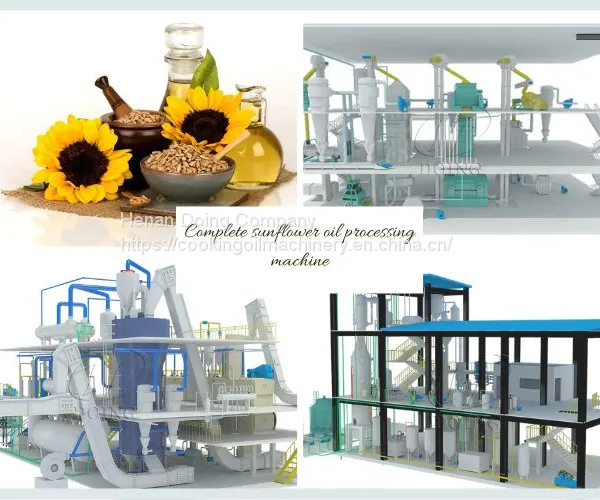 Sunflower Oil Processing Machine Sunflower Oil Production Line photo-5