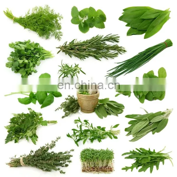 Factory Genyond plant & herbal Ultrasonic solvent countercurrent cycle extractor machine extraction equipment
