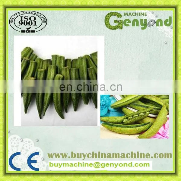 Industrial Vacuum Fruit Frying Machine photo-4