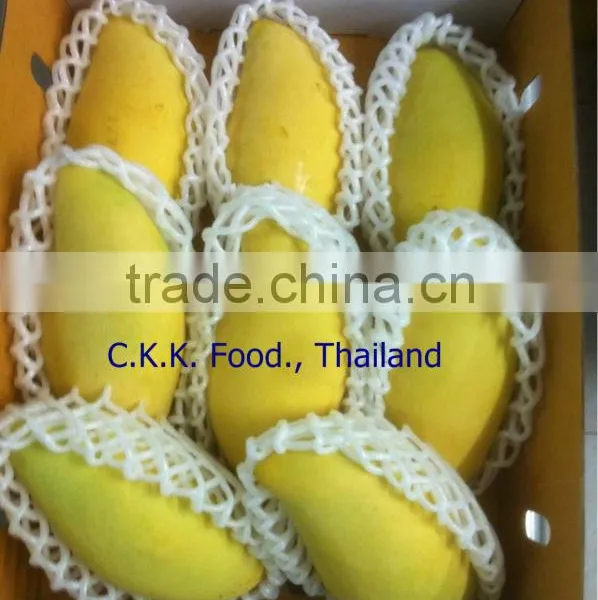 Thai Yellow Mango (Nam Dok Mai)