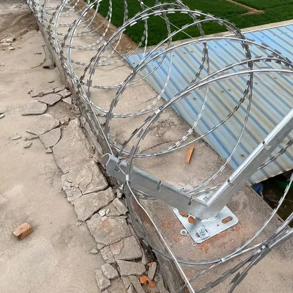 Customizable Galvanized Razor Barbed Wire Concertina Coil Galvanized 2.5MM Fence Roll for Sale photo-5